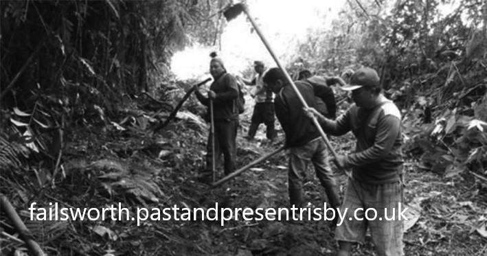 Tradisi Mapalus Minahasa Gotong Royong Suku